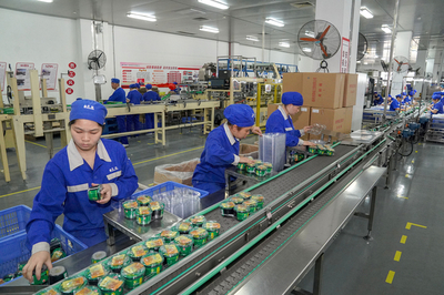 構(gòu)建高效門(mén)戶(hù)，賦能企業(yè)發(fā)展——中恒集團(tuán)門(mén)戶(hù)網(wǎng)站建設(shè)方案