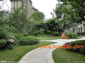 合肥園林綠化 打造生態城市，共建綠色家園