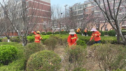 花開滿徑春正好 園林綠化養護忙——口鎮街道繪就春日美景